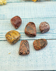 Leopard Skin Jasper Tumbled Gemstone 2 Ounces