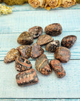 Leopard Skin Jasper Tumbled Gemstone 4 Ounces