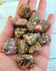 Leopard Skin Jasper Gems