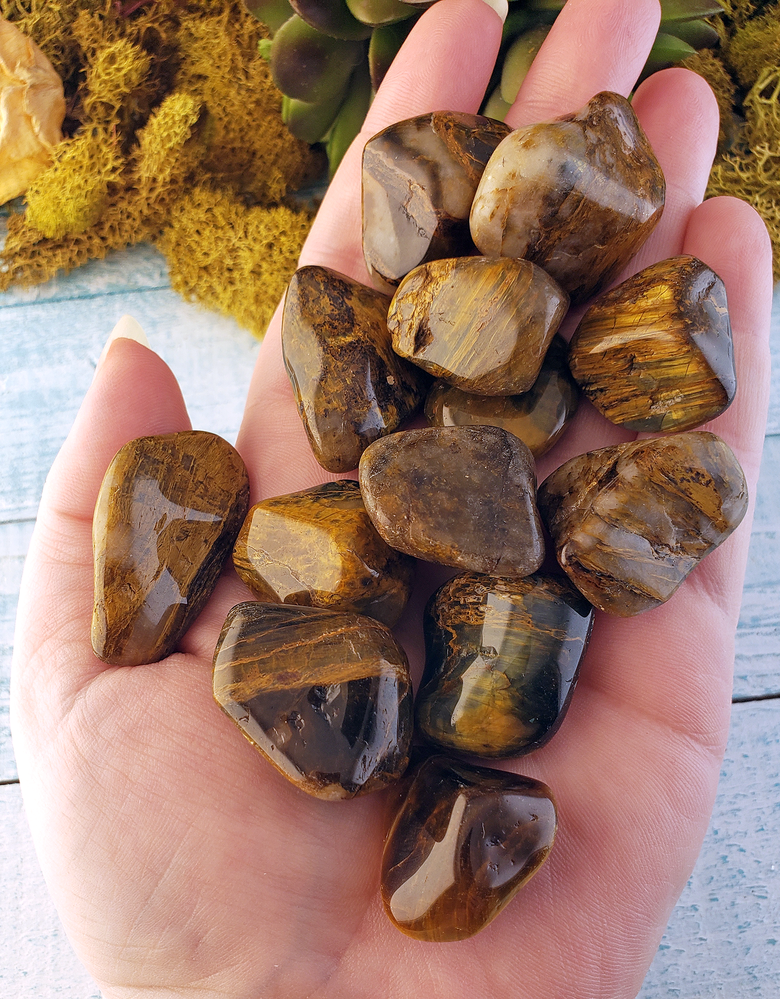 Lion Skin Jasper Natural Tumbled Gemstone - Stone of Courage - 0.5&quot; - 0.8&quot;