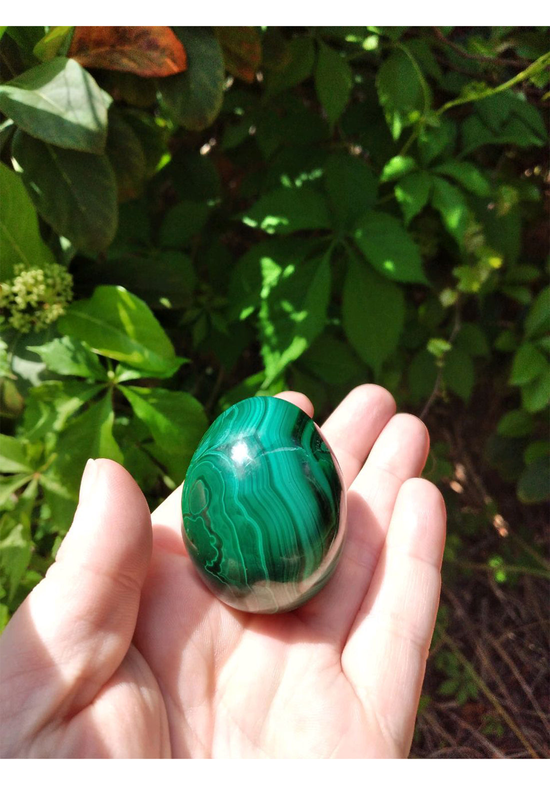 Malachite Polished Gemstone Egg - Stone for Transformation - 45-50mm 5