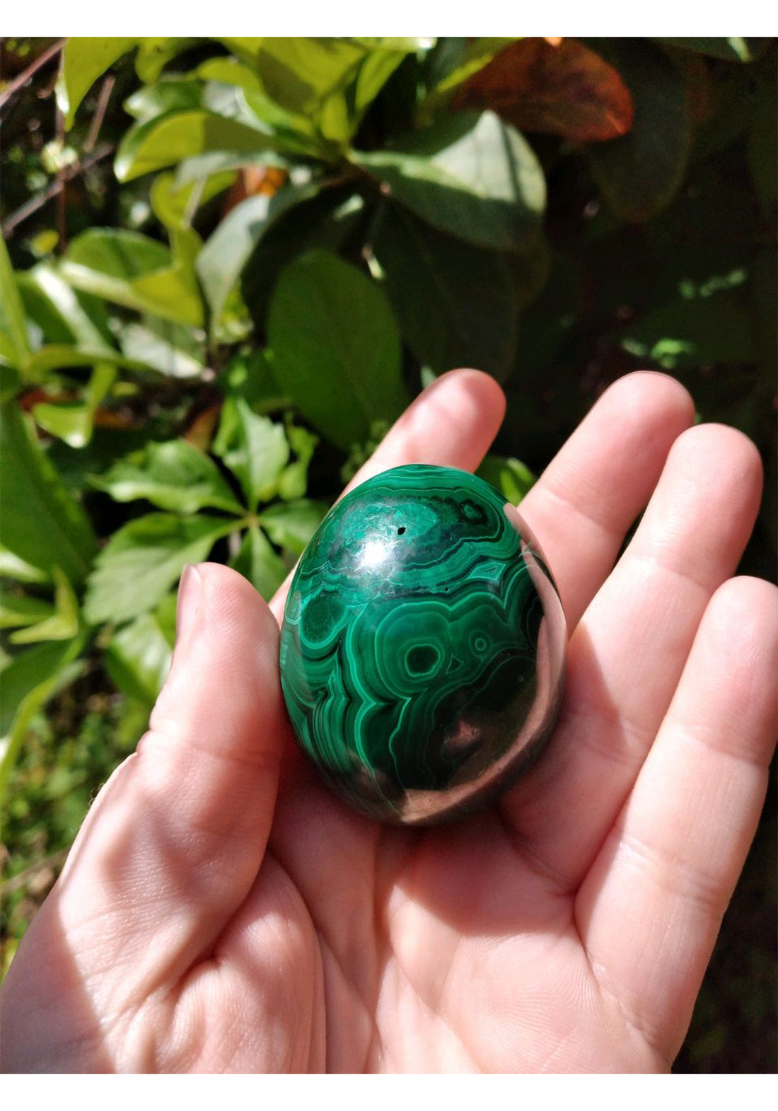 Malachite Polished Gemstone Egg - Stone for Transformation - 45-50mm 6