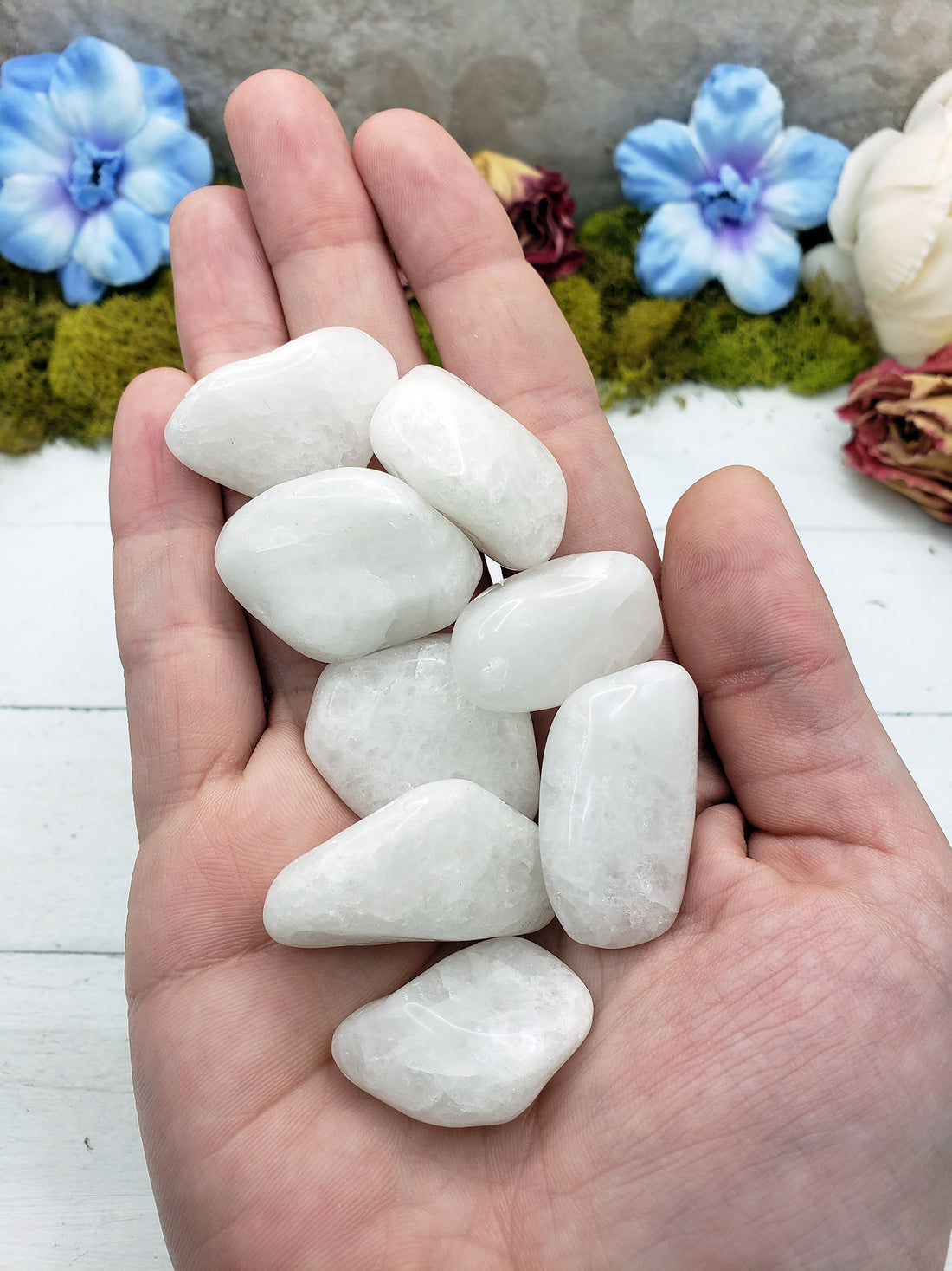 Hand holding Milky quartz stone specimens
