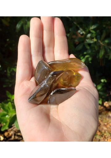 Natural Smoky Citrine Polished Tumbled Gemstone - Freeform - 0.75" - 1.25"