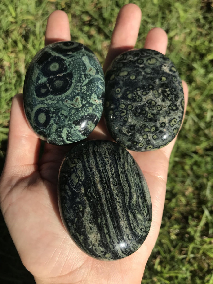 Kambaba Jasper Gemstone Palm Stone