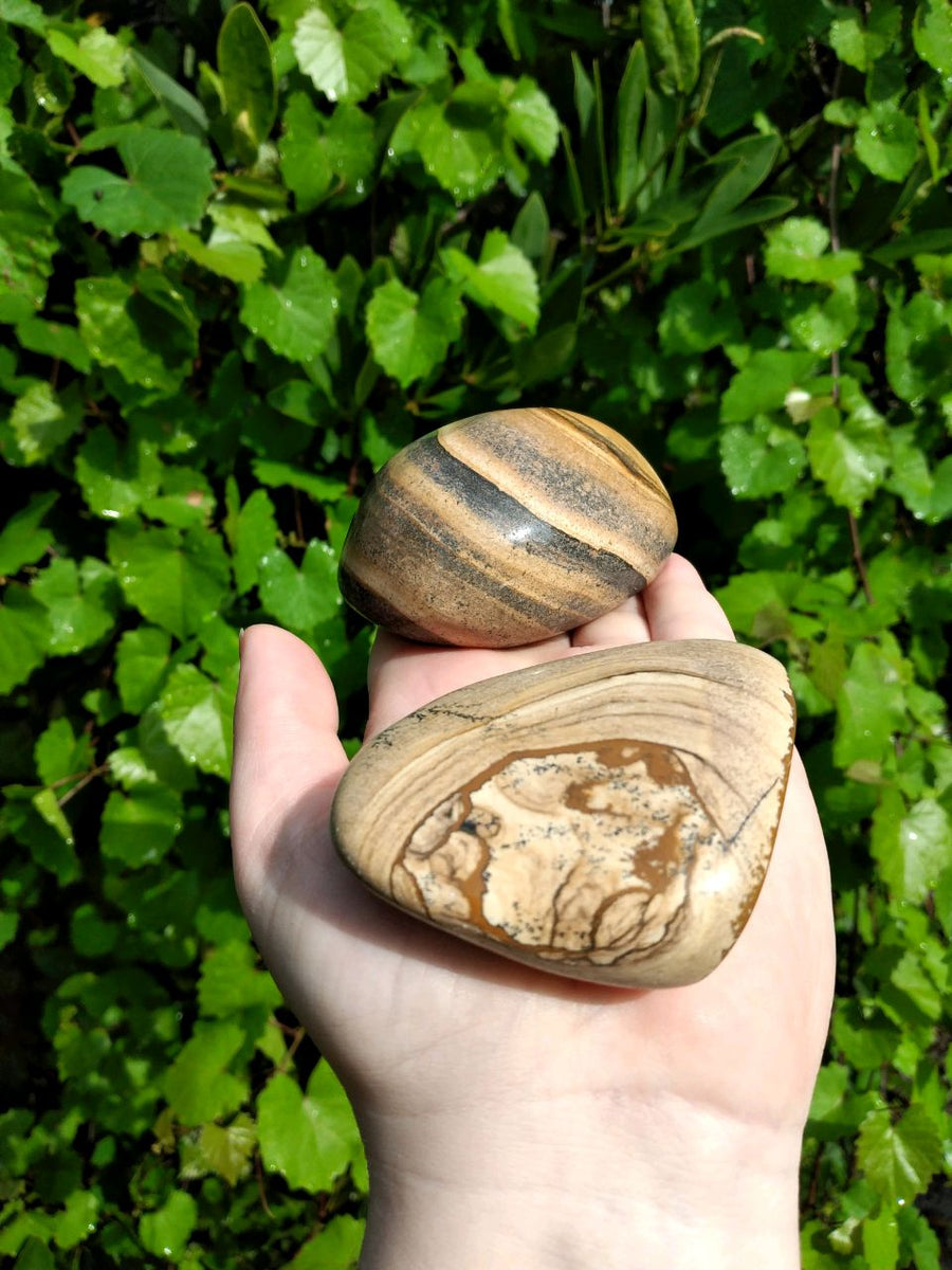 Picture Jasper Jumbo Meditation Palm Power Stone 3