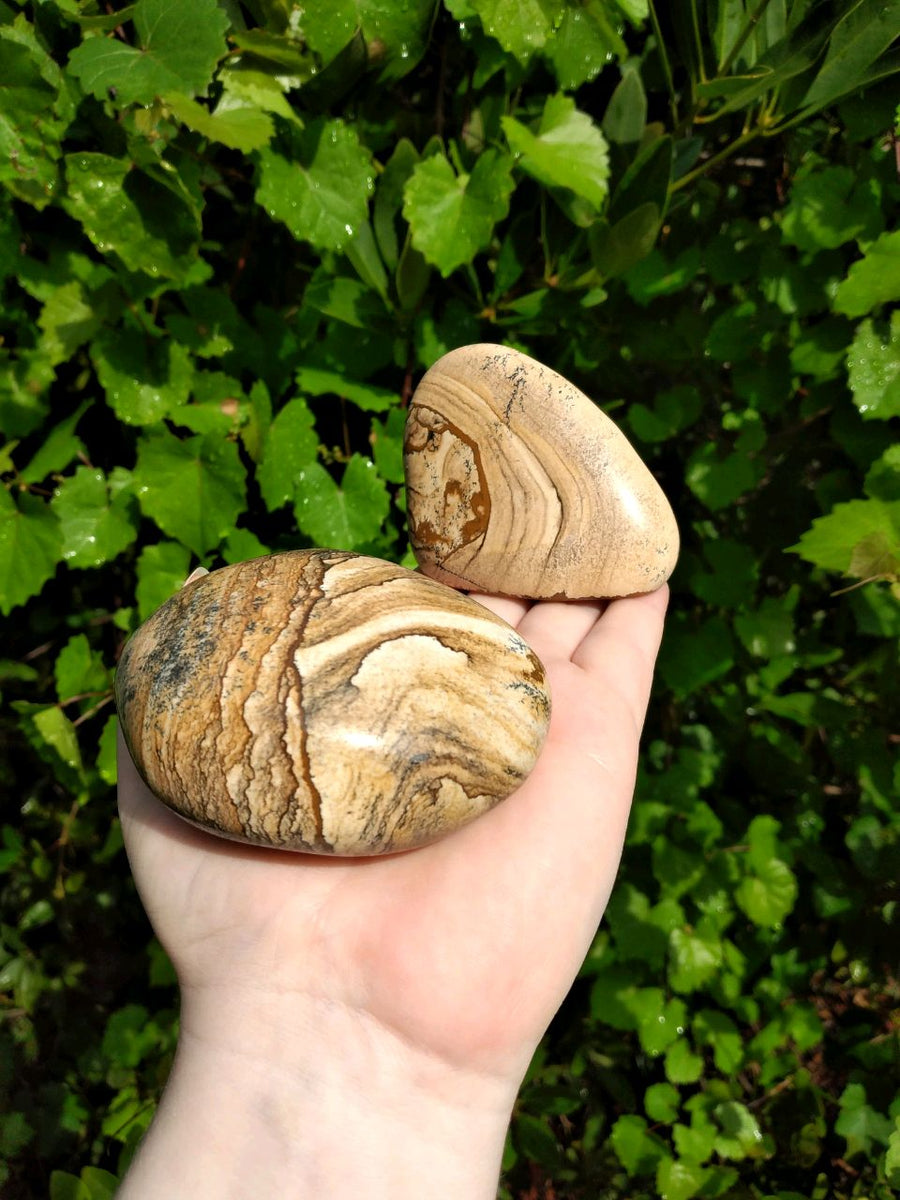 Picture Jasper Jumbo Meditation Palm Power Stone 2
