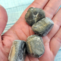 Pyrite Fool's Gold Tumbled Gemstone Stones