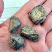 Pyrite Fool's Gold Tumbled Gemstone - MEDIUM Stones