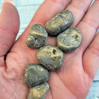 Pyrite Fool's Gold Tumbled Gemstone - MEDIUM Gemstones