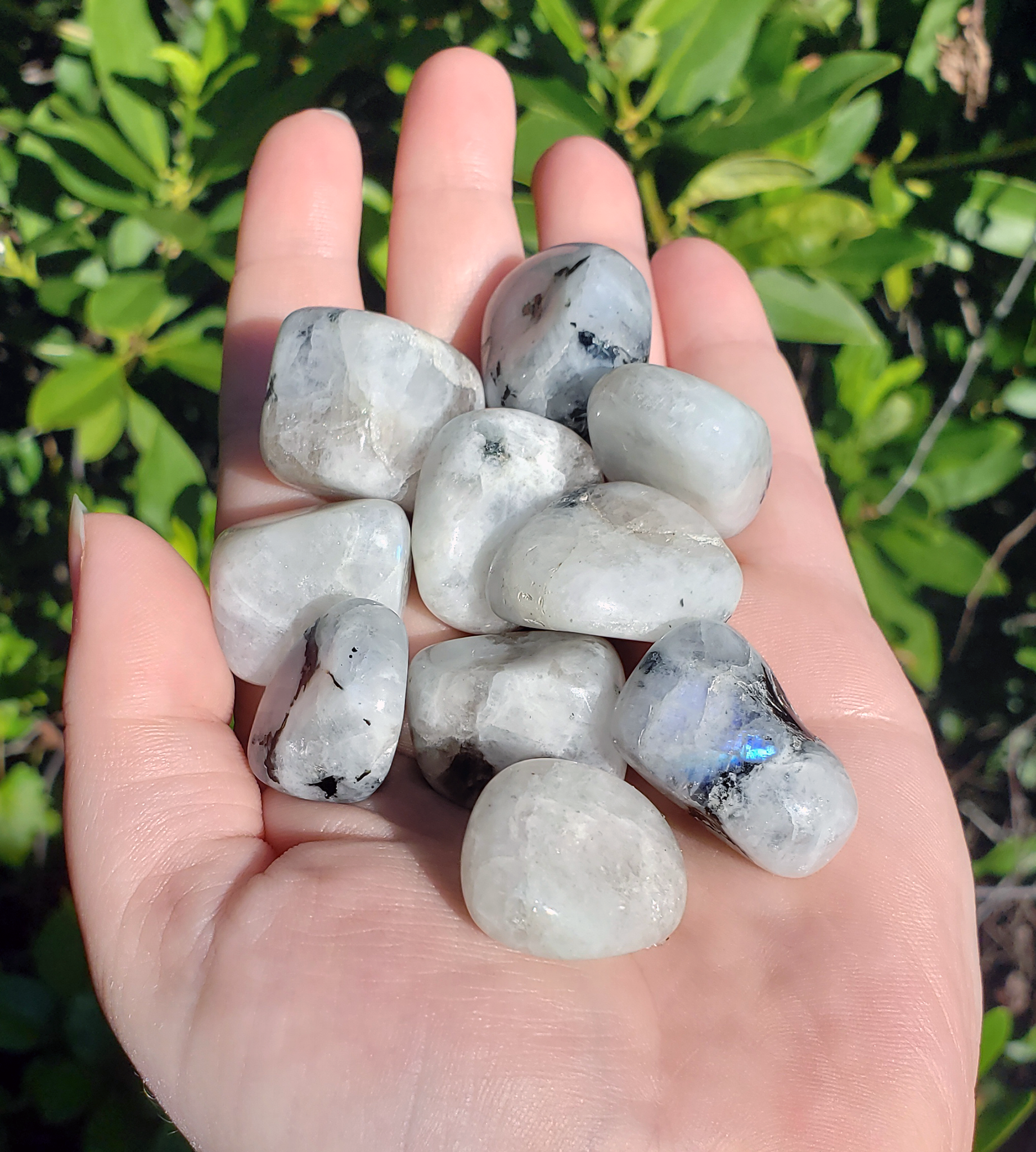 Rainbow Moonstone Natural Tumbled Gemstone - Stone of Lucid Dreams - 0.6&quot; - 1&quot;