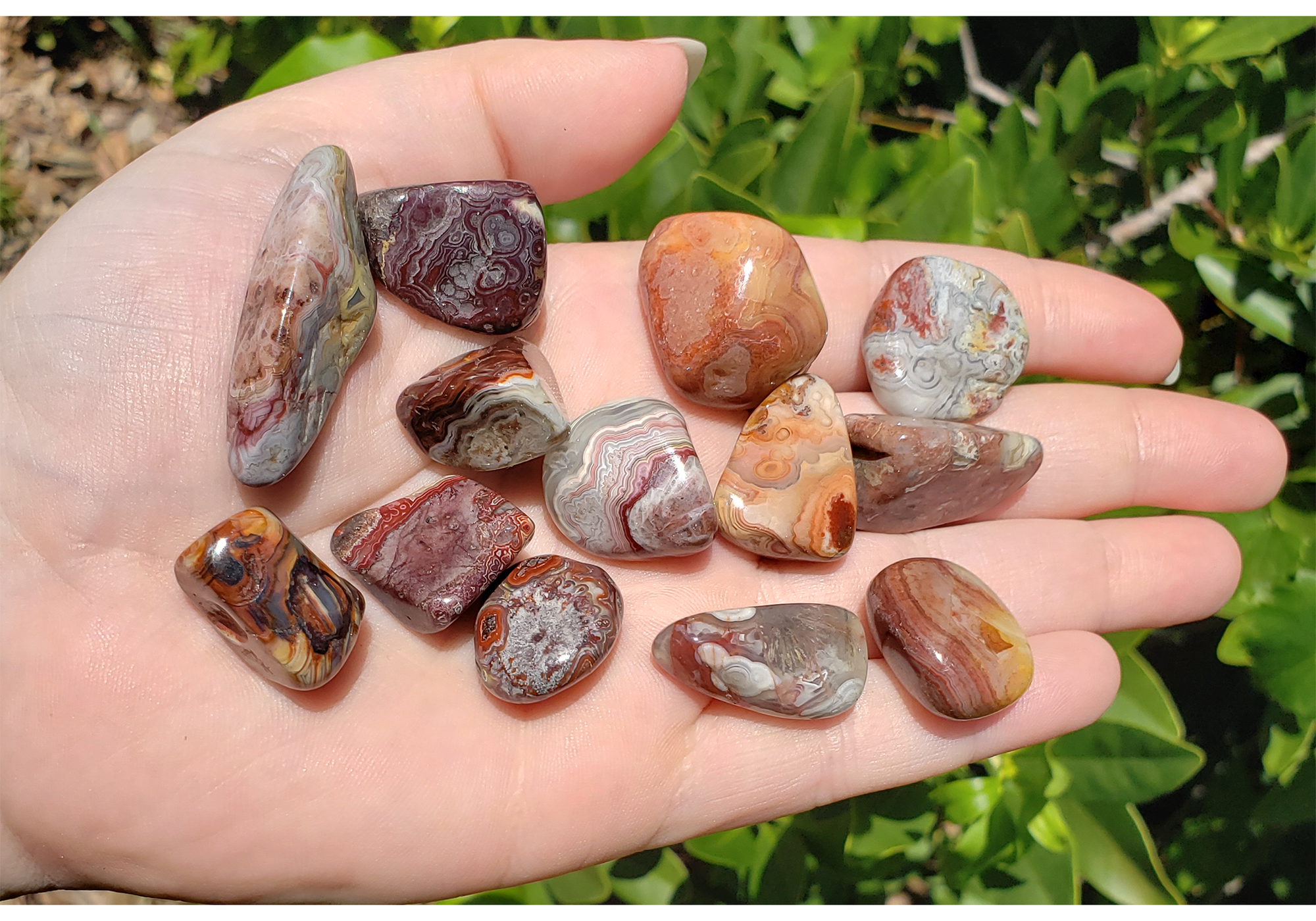 Red Crazy Lace Agate Polished Tumbled Gemstone - Stone of Optimism - 0.5" -1" - Freeform