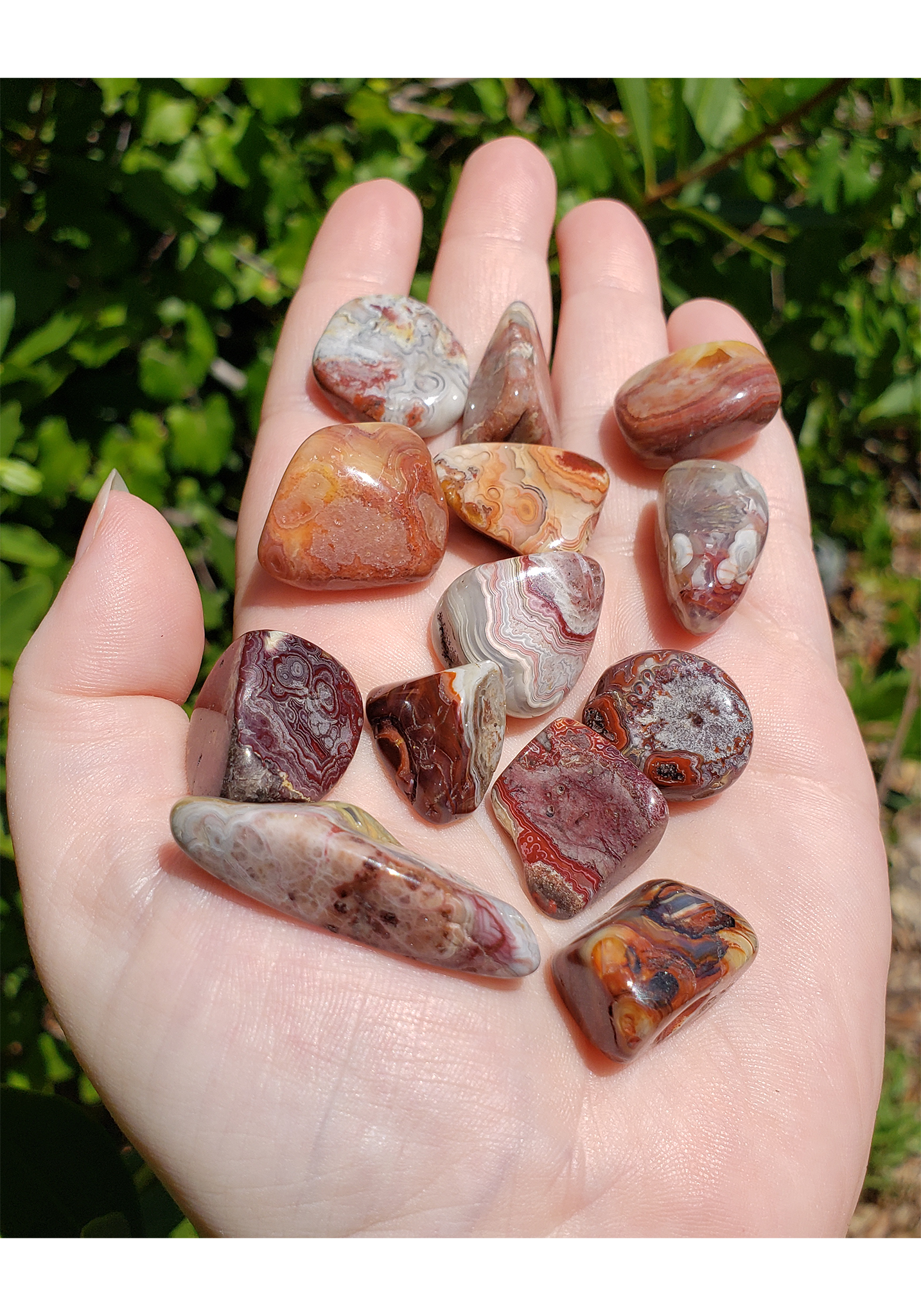 Red Crazy Lace Agate Polished Tumbled Gemstone - Stone of Optimism - 0.5" -1"