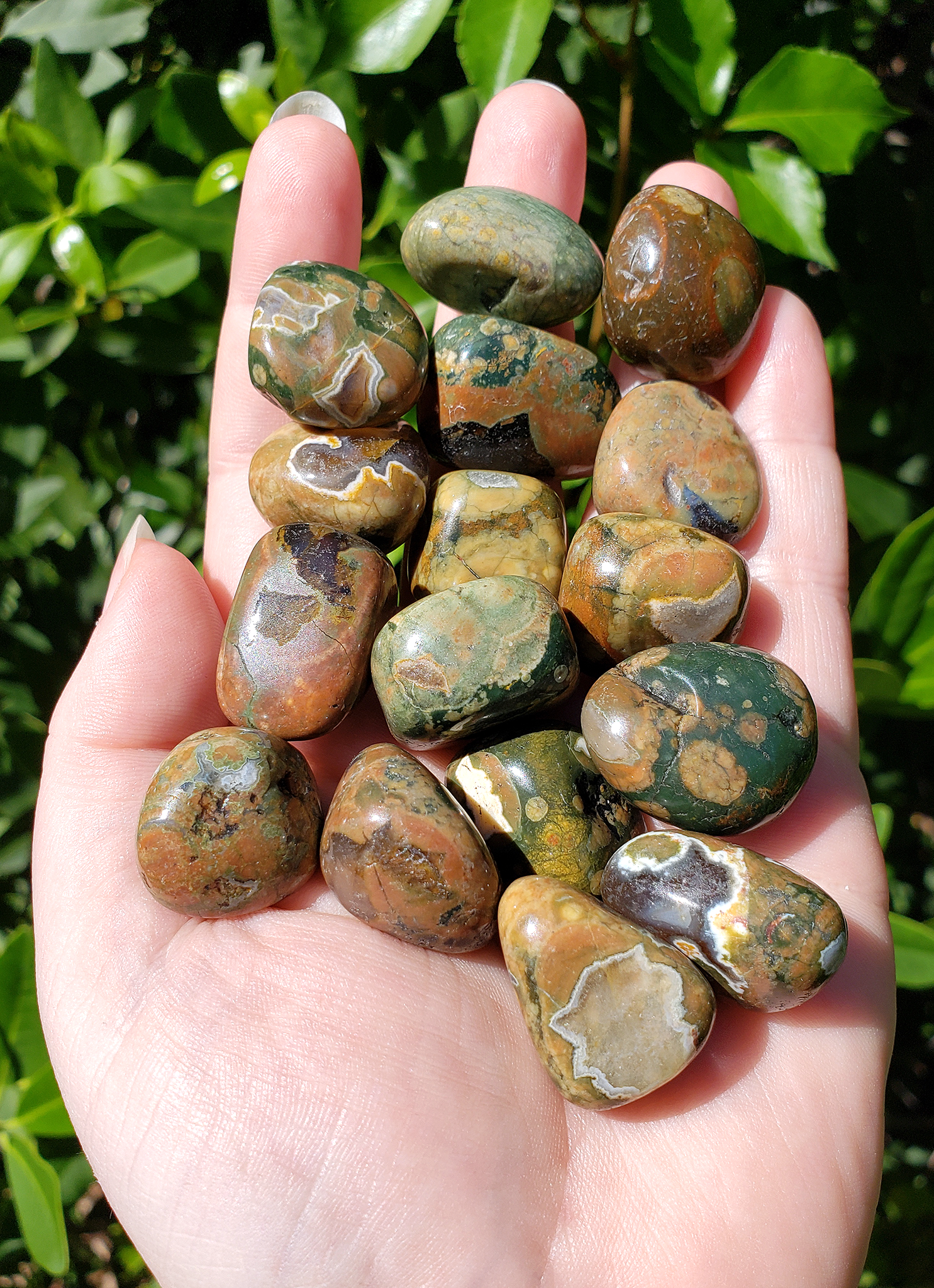 Rhyolite Natural Tumbled Gemstone - Stone of Manifesting