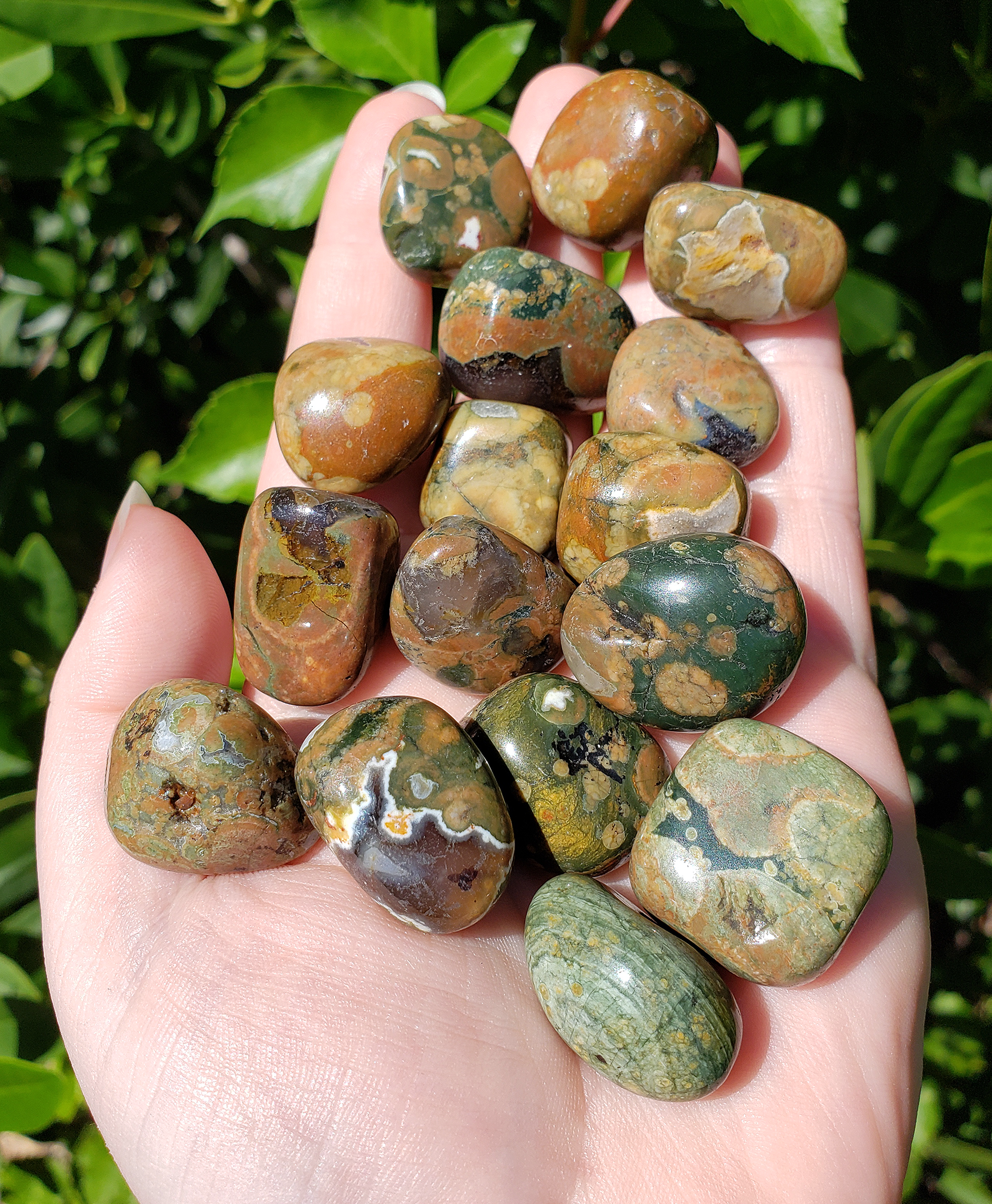 Rhyolite Natural Tumbled Gemstone - Stone of Manifesting - 0.6&quot; - 1&quot;