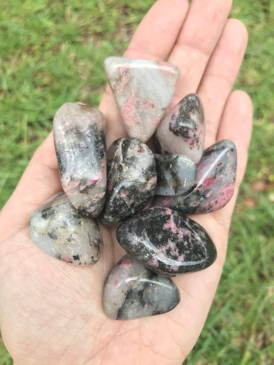Rhodonite in Quartz Polished Tumbled Gemstone- Large | Crystal Gemstone Shop.