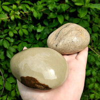 Sand Jasper Jumbo Meditation Palm Power Stone 2
