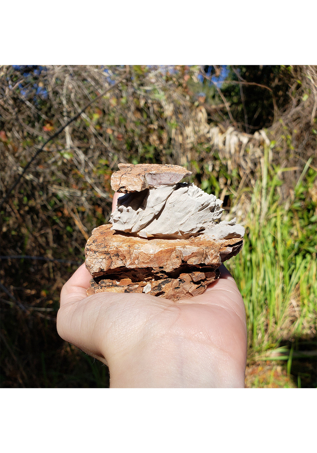 Sculpture Stone Natural Rock Formation - Amazing Earth Science! 4