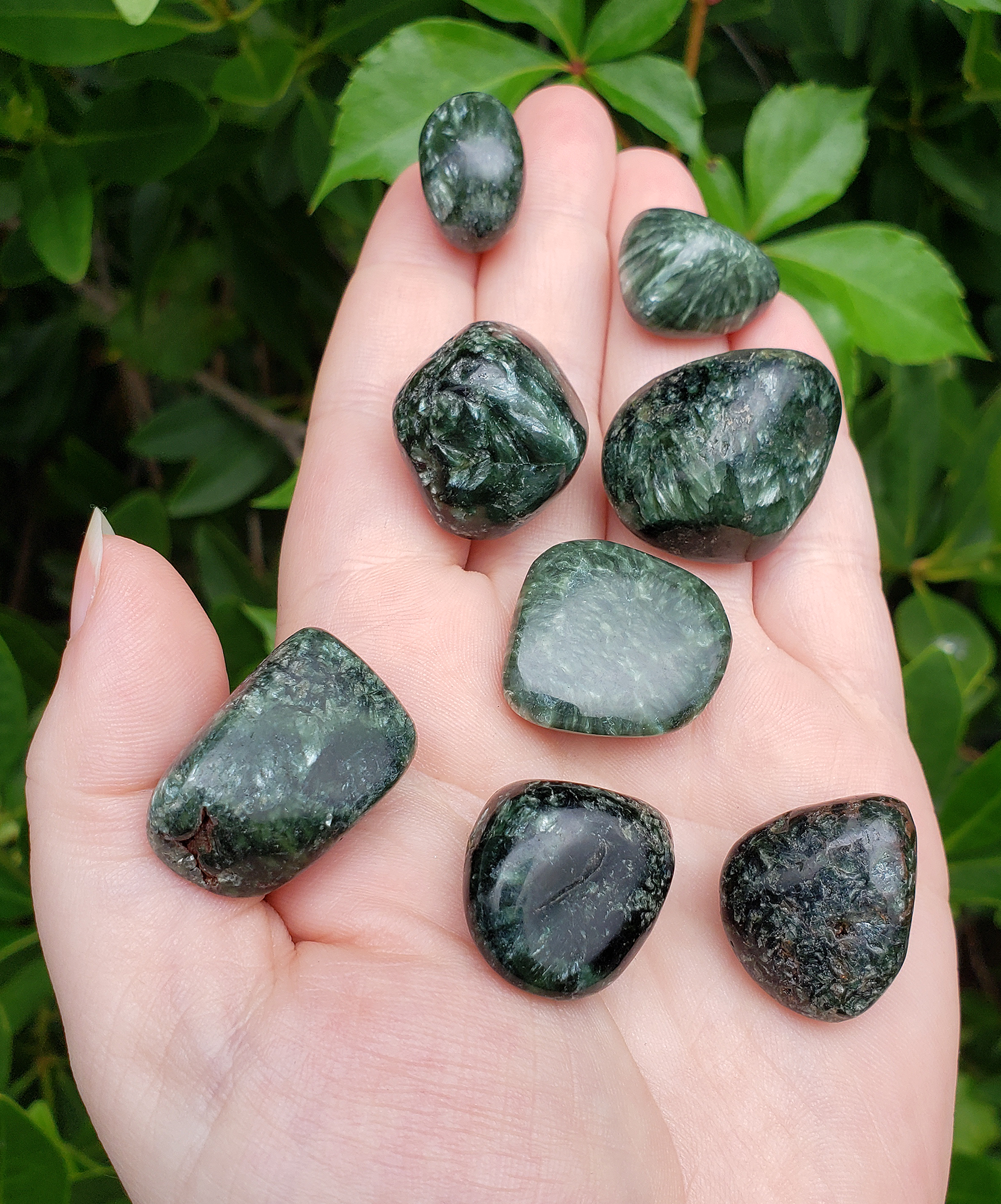 Seraphinite Natural Tumbled Gemstone - Stone of Angelic Energy - Rounded with Natural Texture: 0.5&quot; - 1&quot;