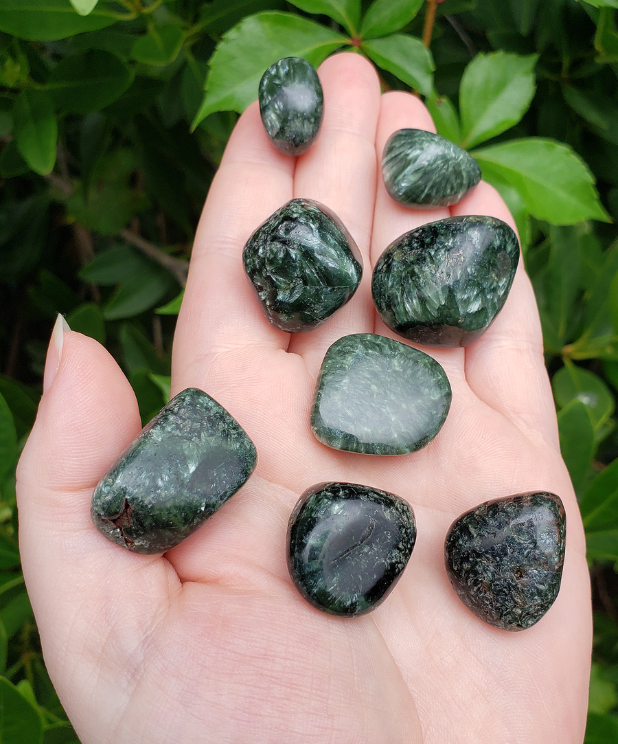 Seraphinite Natural Tumbled Gemstone - Stone of Angelic Energy - Rounded with Natural Texture: 0.5" - 1"