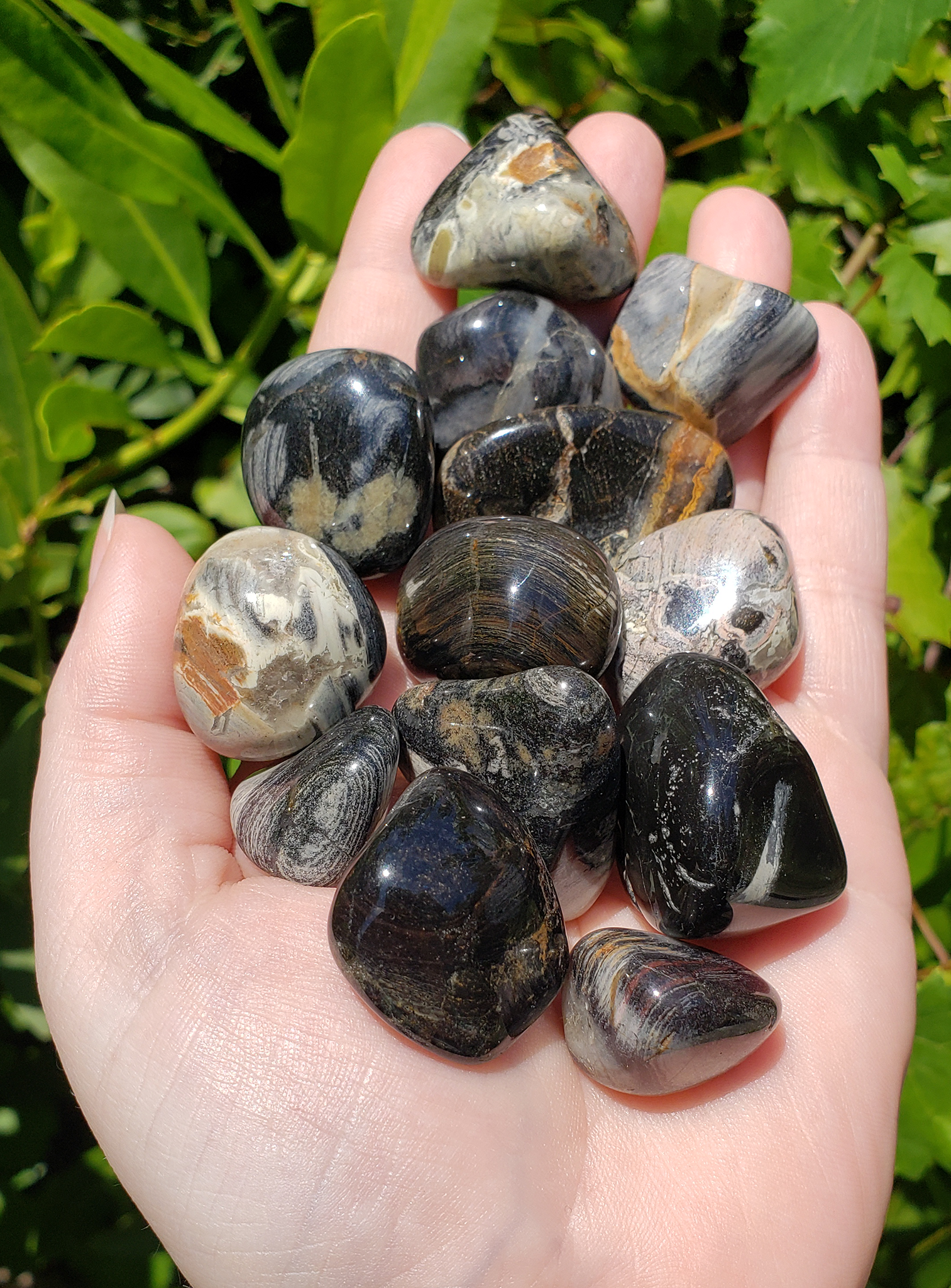 Silver Leaf Jasper Polished Tumbled Gemstone - Stone of Protection - 0.75&quot; - 1&quot;