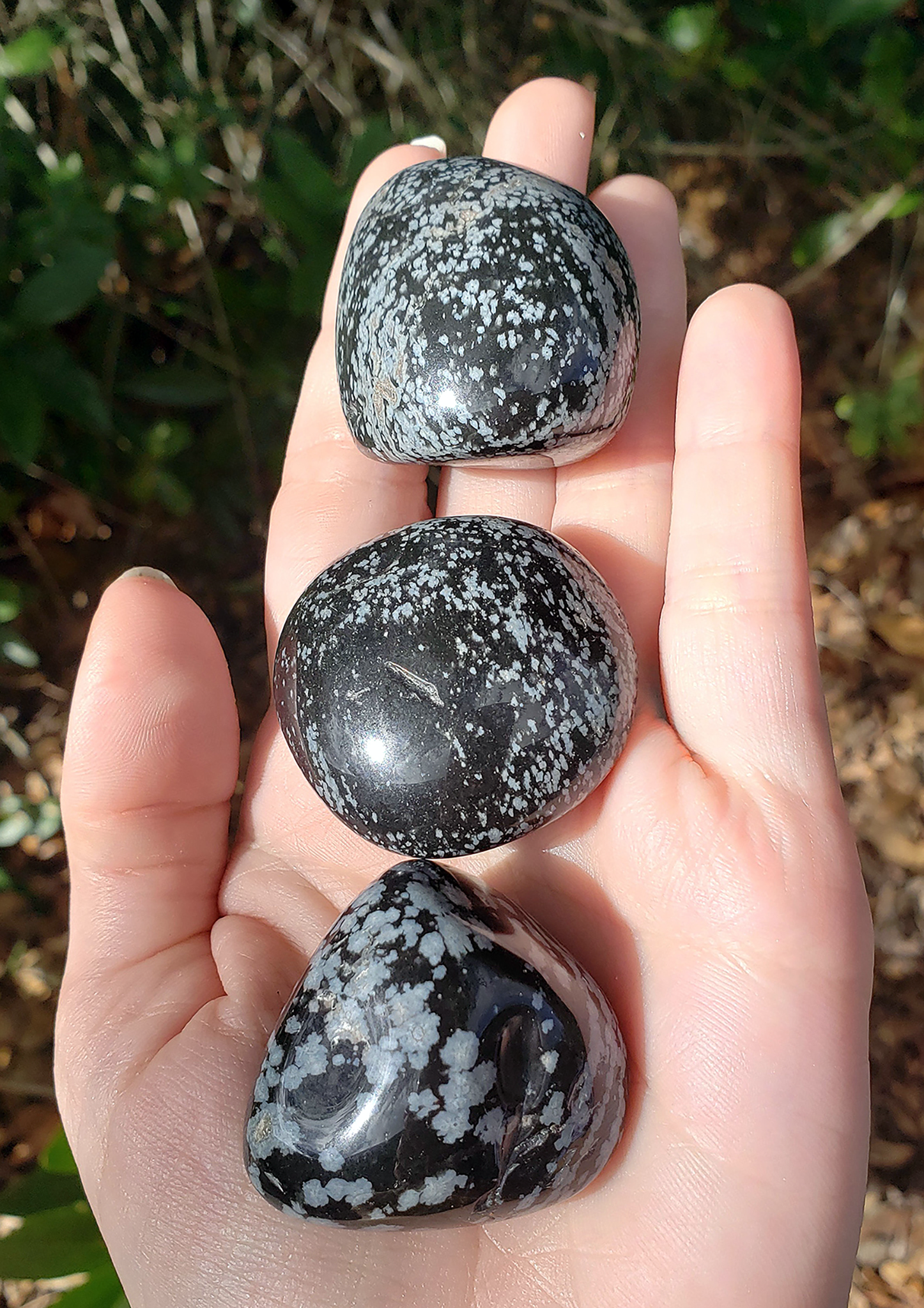 Snowflake Obsidian Tumbled Natural Gemstone - Stone of Purging Negativity - Large Freeform:1&quot; - 1.5&quot;