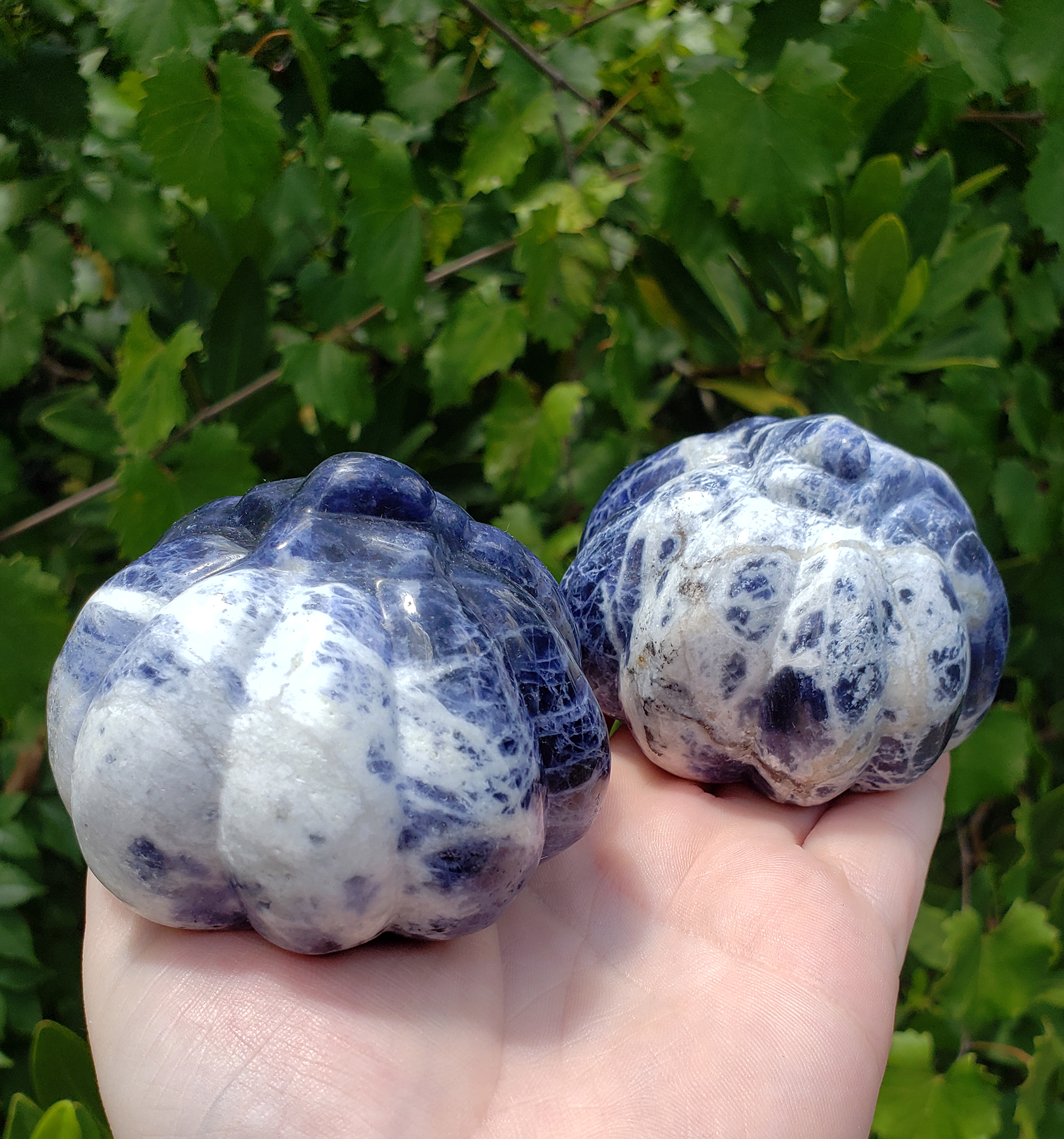 Sodalite Gemstone Happy Pumpkin Totem Jack-o-Lantern Carving - Large - Backs of the Pumpkins