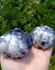 Sodalite Gemstone Happy Pumpkin Totem Jack-o-Lantern Carving - Large - Backs of the Pumpkins