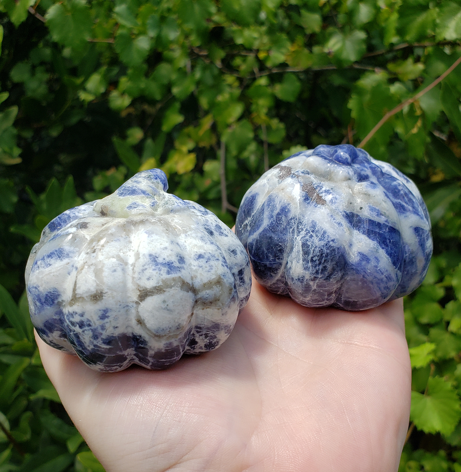 Sodalite Gemstone Happy Pumpkin Totem Jack-o-Lantern Carving - Back of Pumpkins