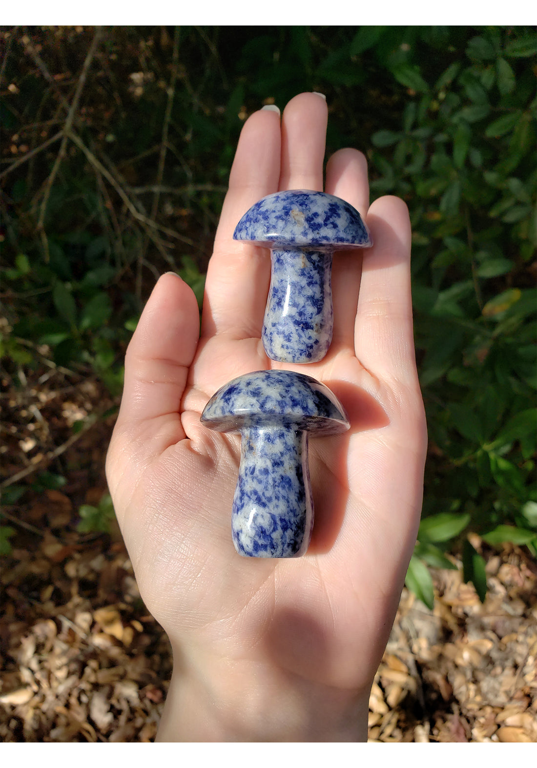 Sodalite Polished Gemstone Toadstool Mushroom Carving