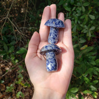 Sodalite Polished Gemstone Toadstool Mushroom Carving 2