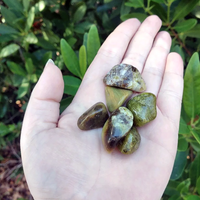 Green Opal Natural Tumbled Gemstone - Freeform One Stone - Polished Stones