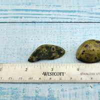 ruler comparing size of various tumbled stitchtite in serpentine stones
