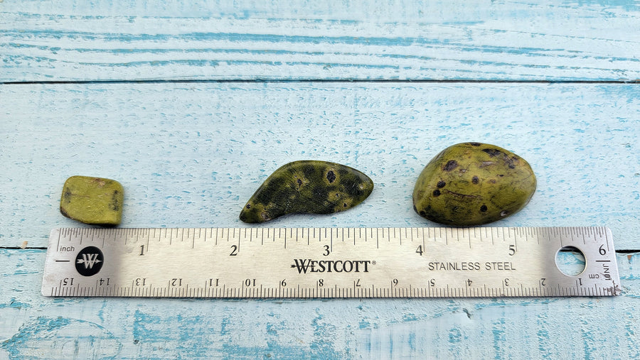 ruler comparing size of various tumbled stitchtite in serpentine stones