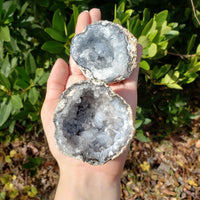 Chihuahua Trancas Natural Crystal Geode - Cauldron of Hidden Gifts! 3