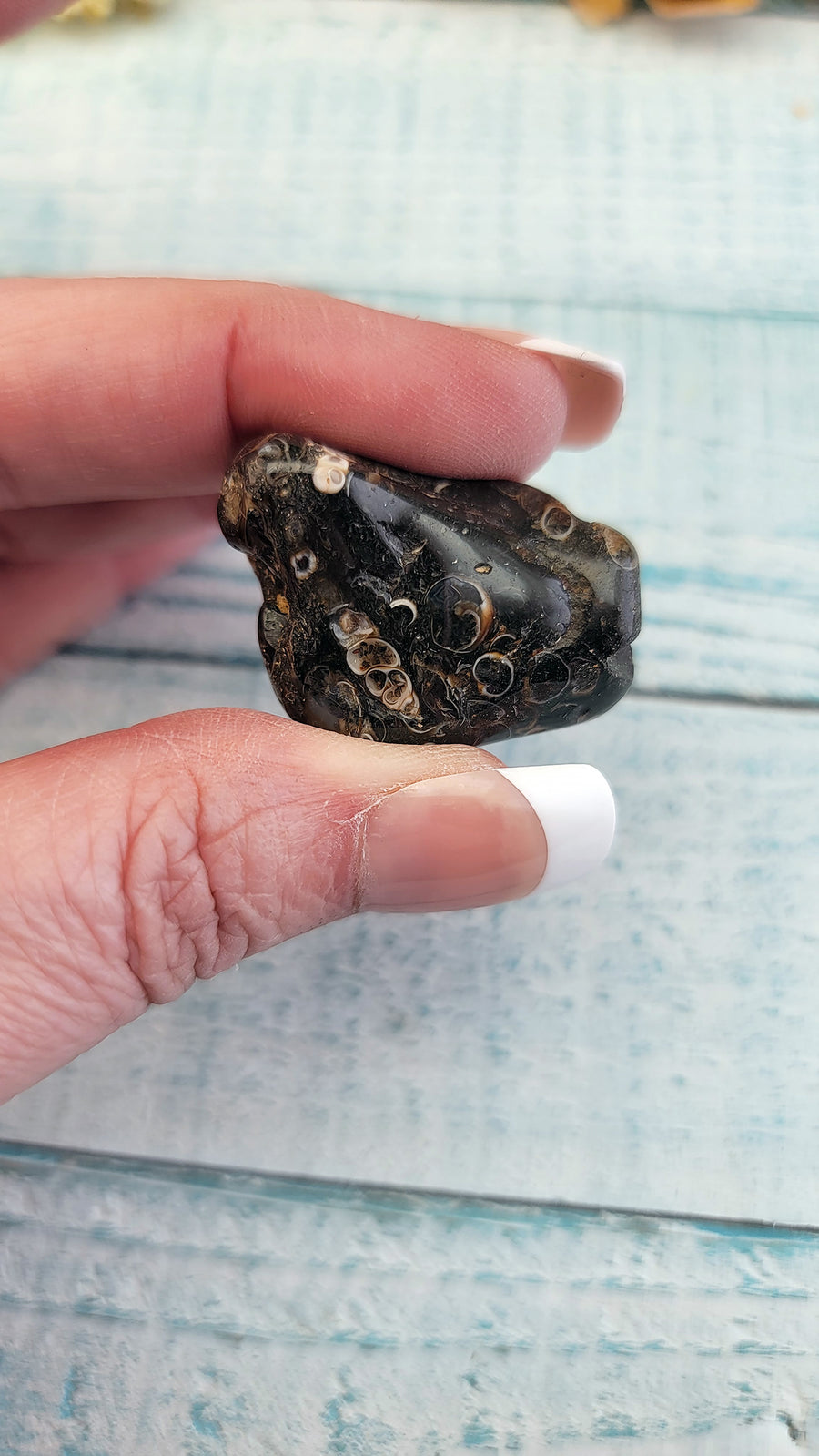 hand pinching tumbled turitella agate