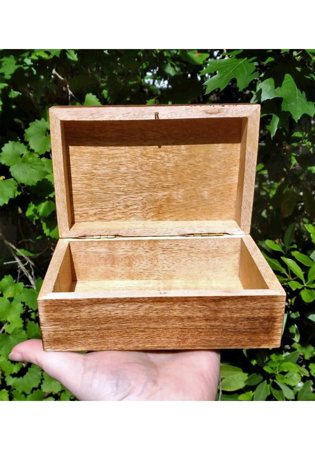 Unembellished Wood Storage Chest Box
