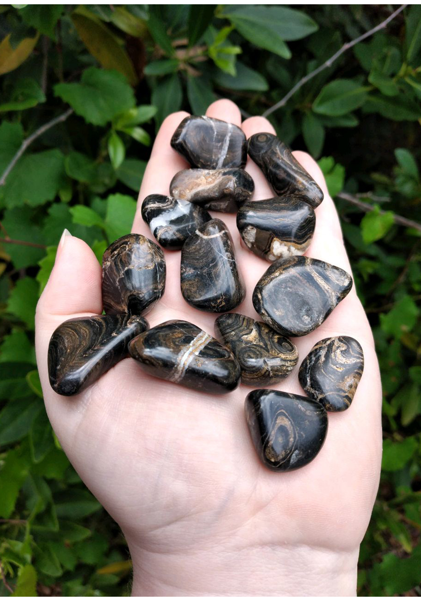 Stromatolite Polished Tumbled Gemstone