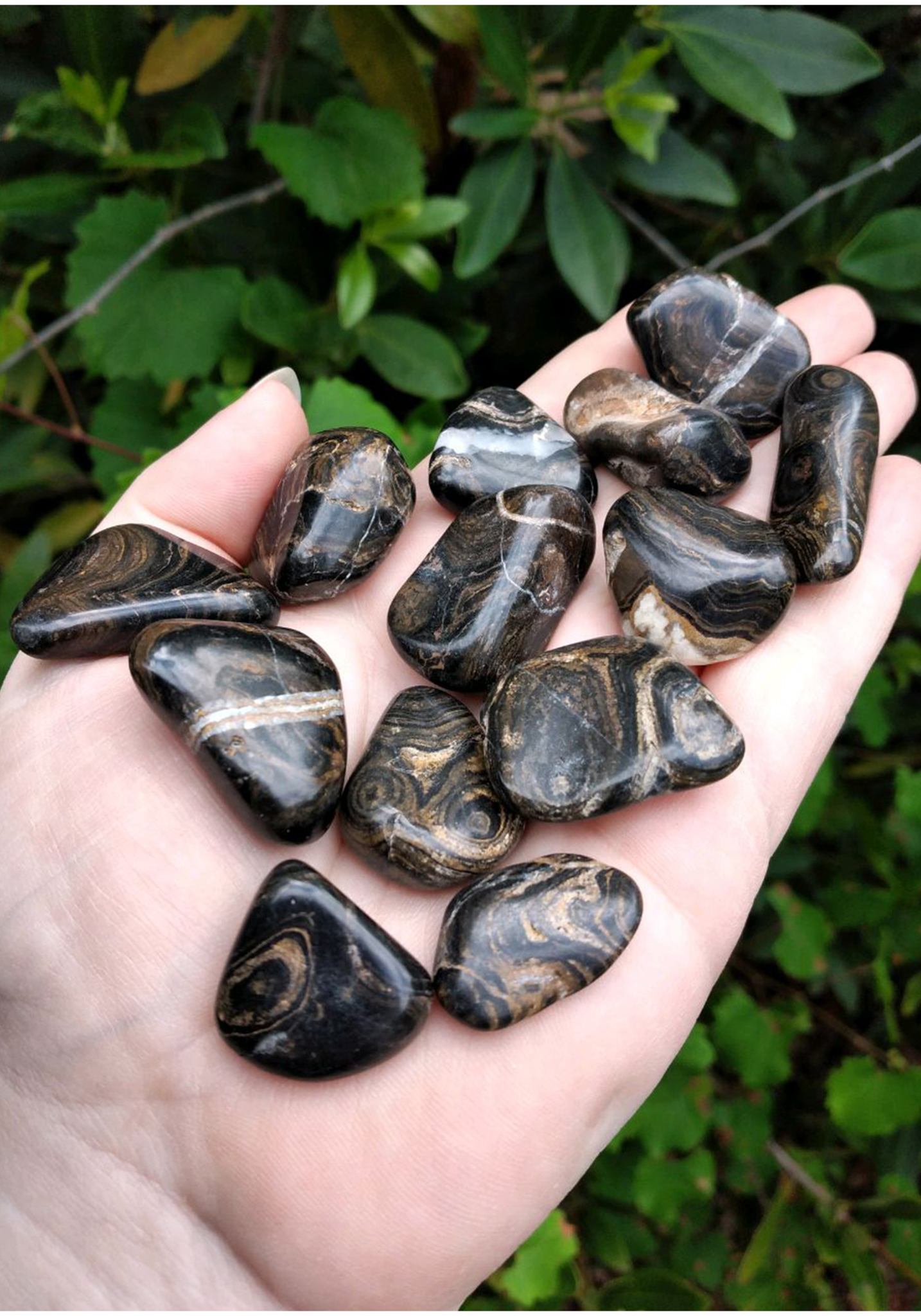 Stromatolite Polished Tumbled Gemstone 2