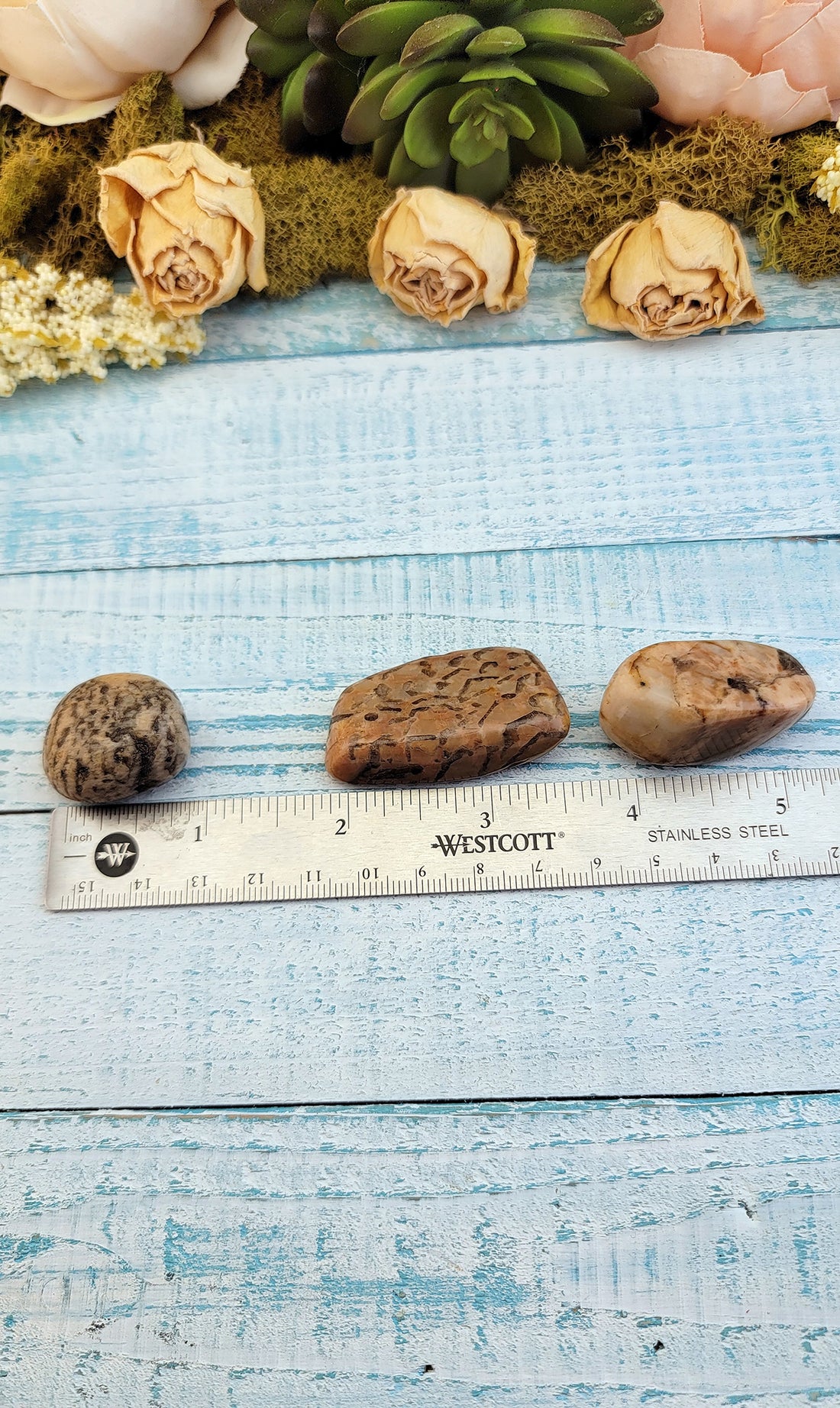tumbled zebradorite stones by ruler, comparing sizes