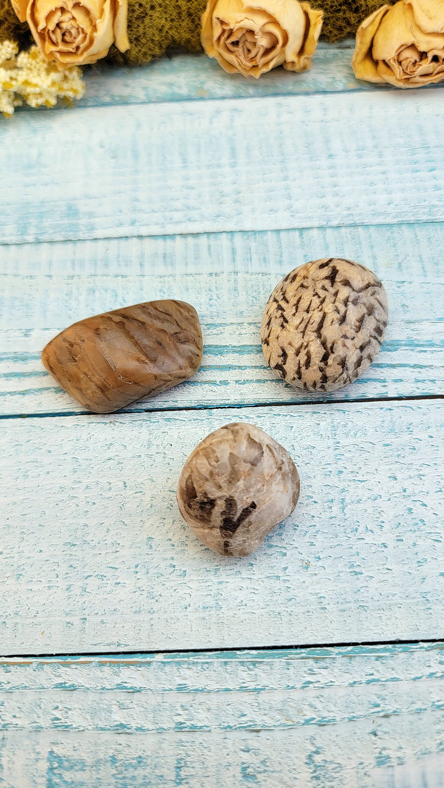 three tumbled zebradorite stones on display