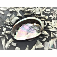 Abalone Shell with Your Choice of Sage - Cleansing Kit