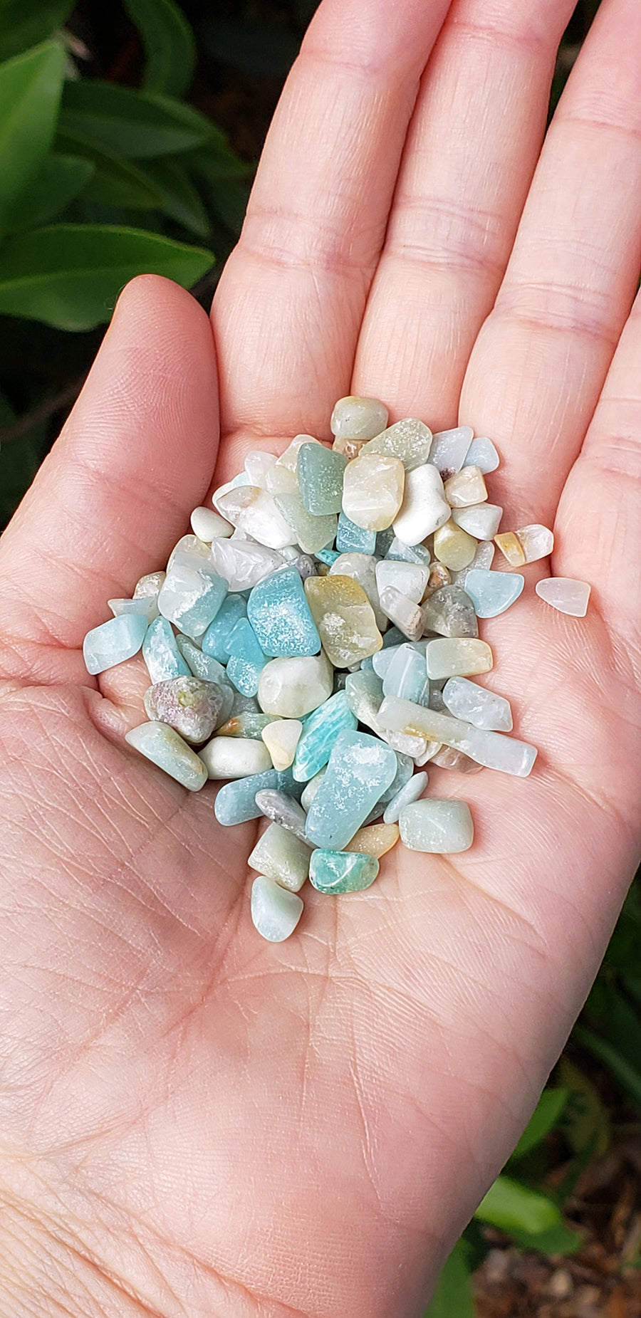 Amazonite Gemstone Chips - 1 Ounce Bag