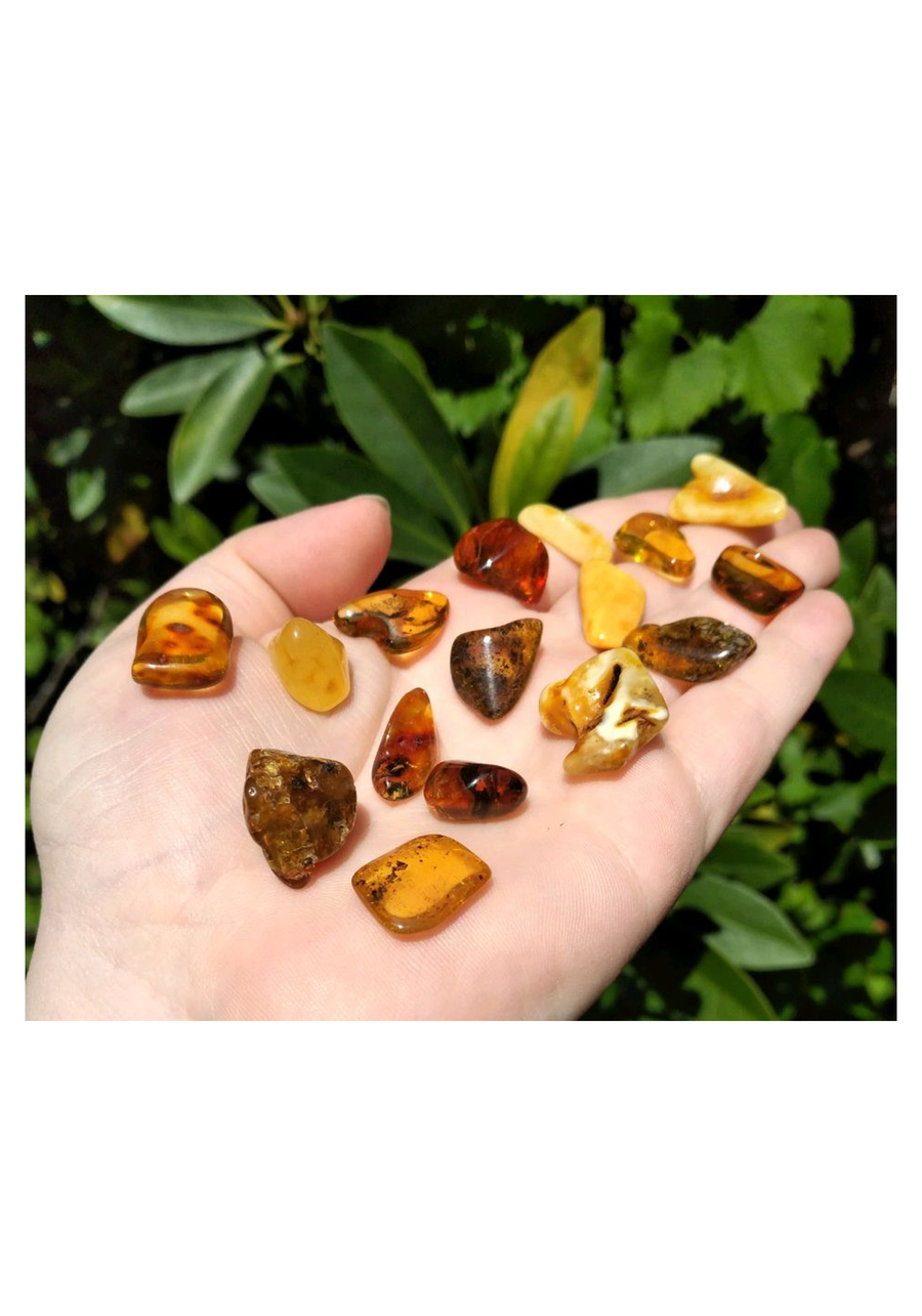 Amber - Natural Fossilized Tree Sap - Tumbled Freeform Gemstone - Small [ 0.4" - 1" Length ] [ 0.5 - 1.25g Weight ]