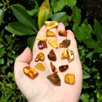 Amber - Natural Fossilized Tree Sap - Tumbled Freeform Gemstone - Small [ 0.4" - 1" Length ] [ 0.5 - 1.25g Weight ]