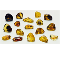 Amber - Natural Fossilized Tree Sap - Tumbled Freeform Gemstone - Small [ 0.4" - 1" Length ] [ 0.5 - 1.25g Weight ] 3