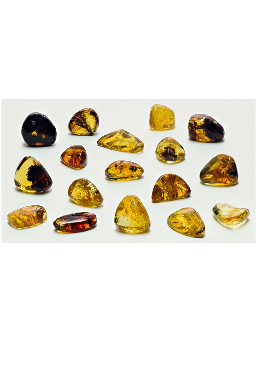Amber - Natural Fossilized Tree Sap - Tumbled Freeform Gemstone - Small [ 0.4" - 1" Length ] [ 0.5 - 1.25g Weight ] 3