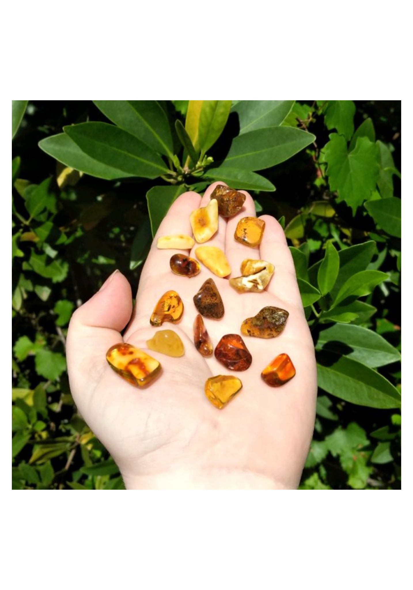 Amber - Natural Fossilized Tree Sap - Tumbled Freeform Gemstone - Small [ 0.4&quot; - 1&quot; Length ] [ 0.5 - 1.25g Weight ] 4