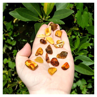 Amber - Natural Fossilized Tree Sap - Tumbled Freeform Gemstone - Small [ 0.4" - 1" Length ] [ 0.5 - 1.25g Weight ] 4