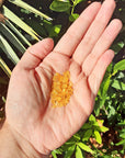 Amber Natural Raw Rough Gemstone Chips - 3 Gram Bag